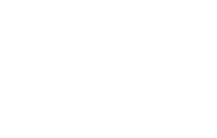 Qatar Stars League