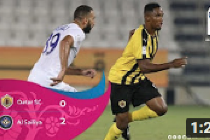 Qatar Stars League